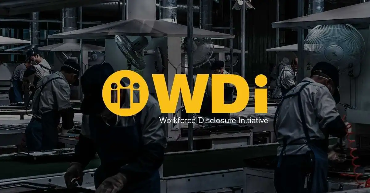 Homepage 4 placeholder-wdi